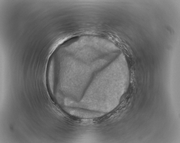X0000115690052200912101202