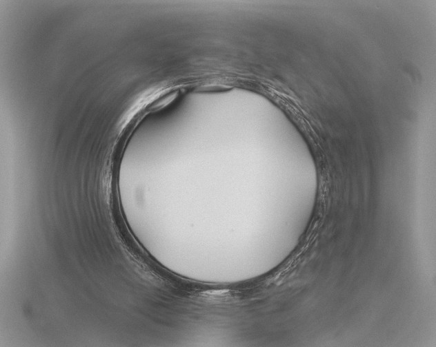 X0000115690054200912101202