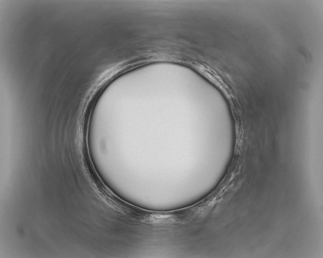 X0000115690055200912101202