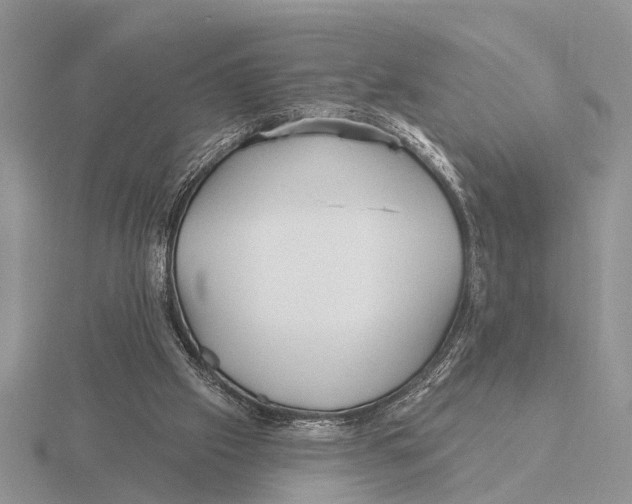 X0000115690057200912101202
