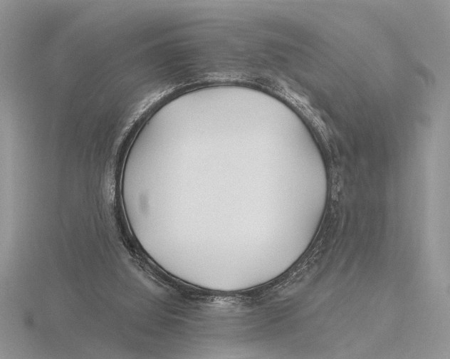 X0000115690060200912101202