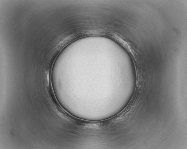 X0000115690061200912101202
