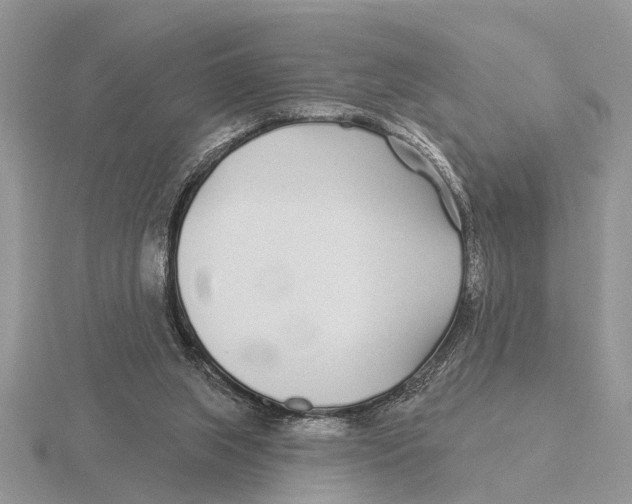 X0000115690063200912101202