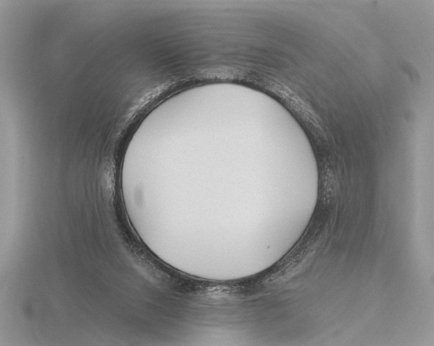 X0000115690064200912101202