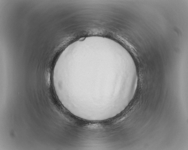 X0000115690067200912101202