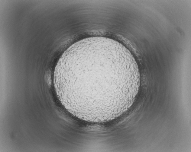 X0000115690069200912101202