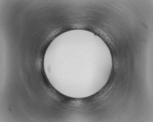 X0000115690071200912101202