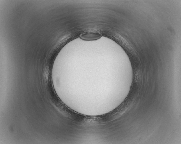 X0000115690072200912101202