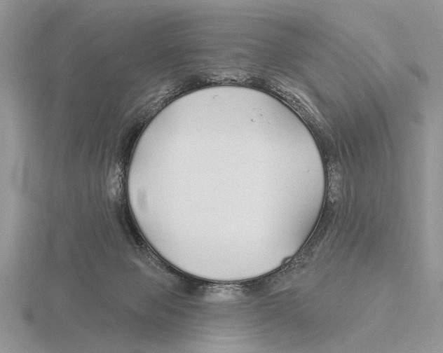 X0000115690077200912101202