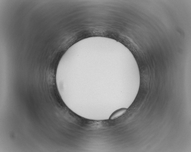 X0000115690083200912101202