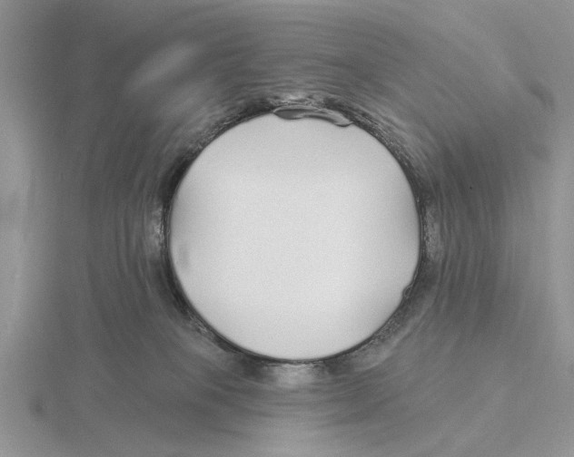 X0000115690085200912101202