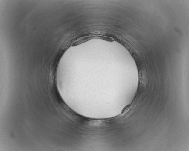 X0000115690086200912101202