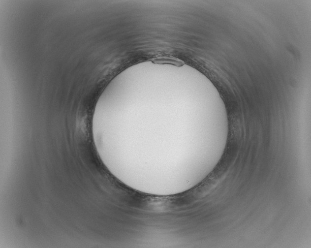 X0000115690088200912101202