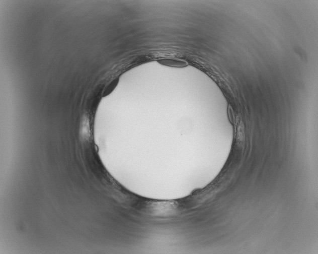 X0000115690089200912101202