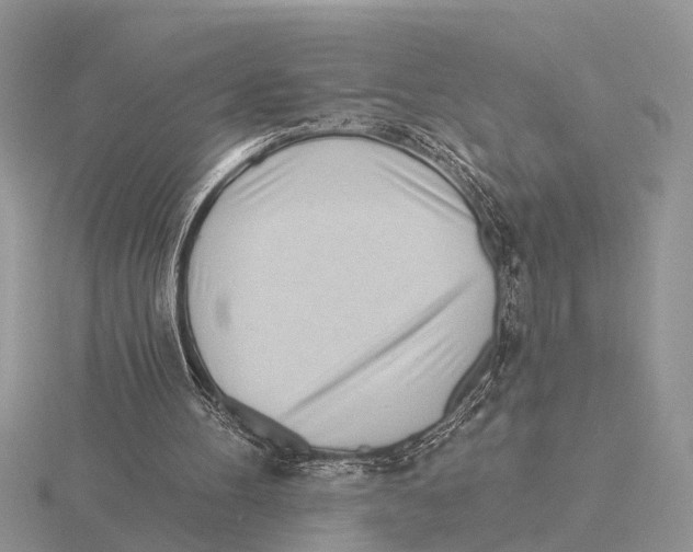 X0000115690100200912101202