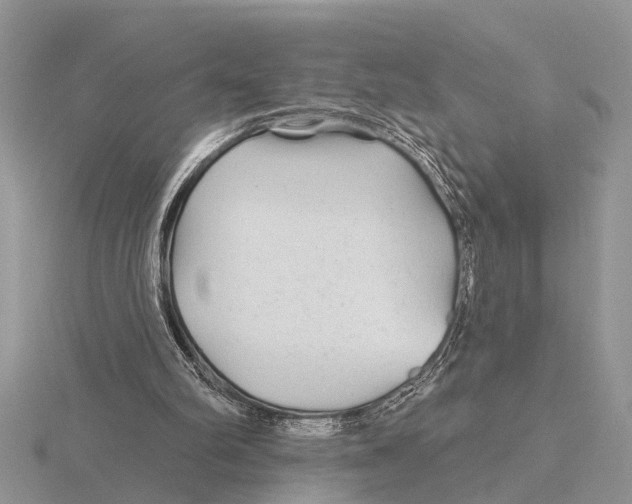 X0000115690102200912101202