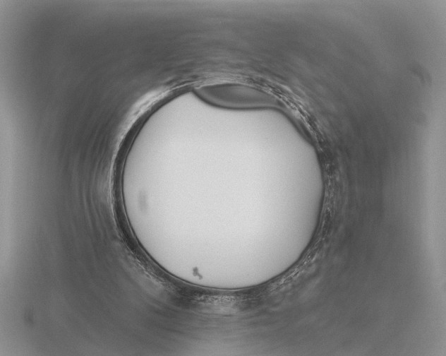 X0000115690104200912101202