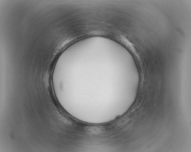 X0000115690106200912101202