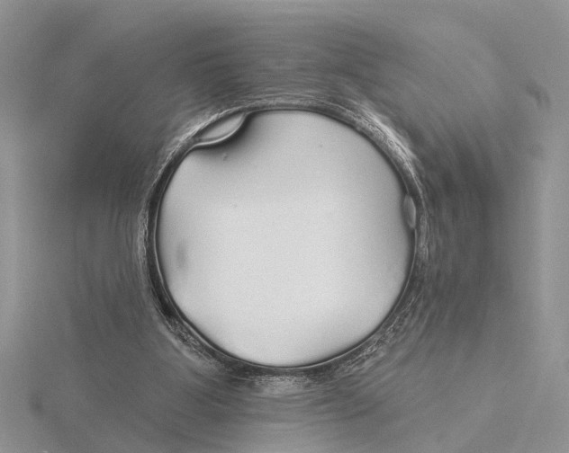 X0000115690107200912101202