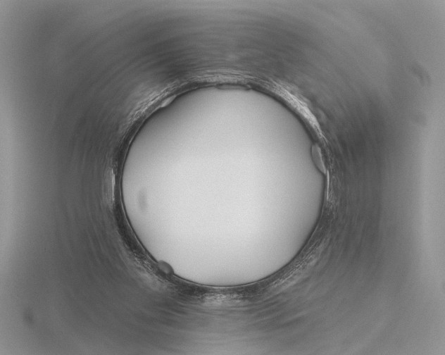 X0000115690109200912101202