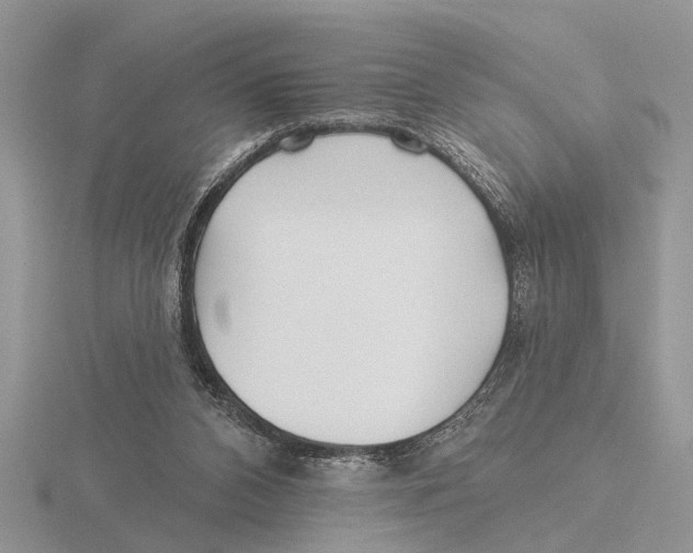 X0000115690112200912101202