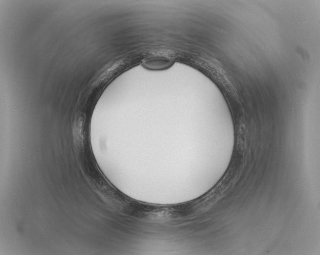 X0000115690116200912101202