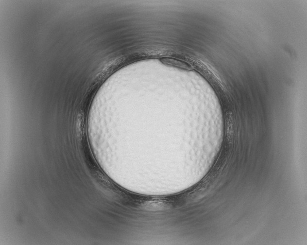 X0000115690119200912101201
