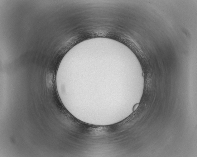 X0000115690122200912101201