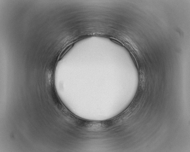 X0000115690123200912101201