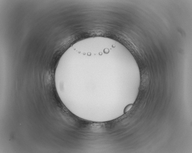X0000115690126200912101201