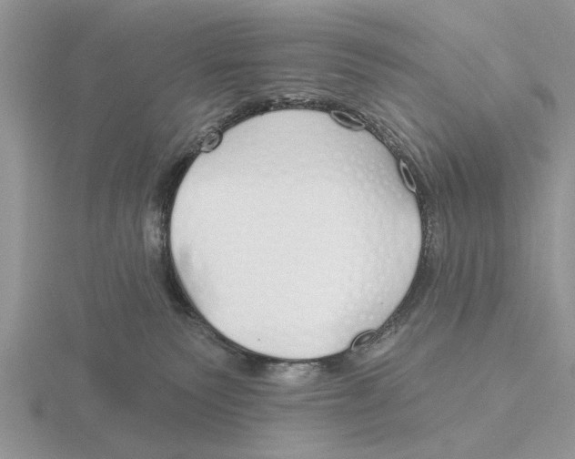 X0000115690135200912101201