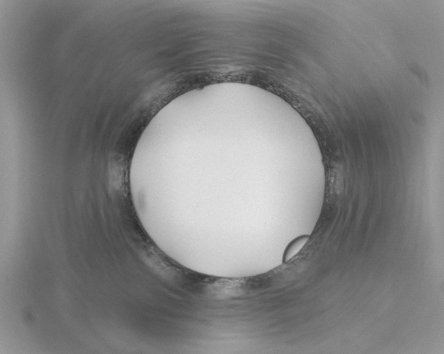 X0000115690138200912101201