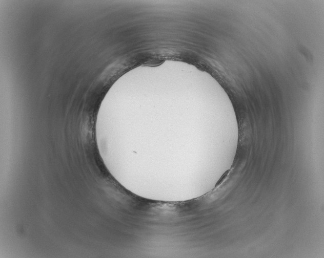 X0000115690140200912101201