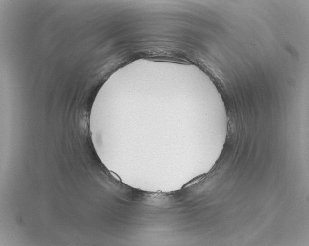 X0000115690141200912101201