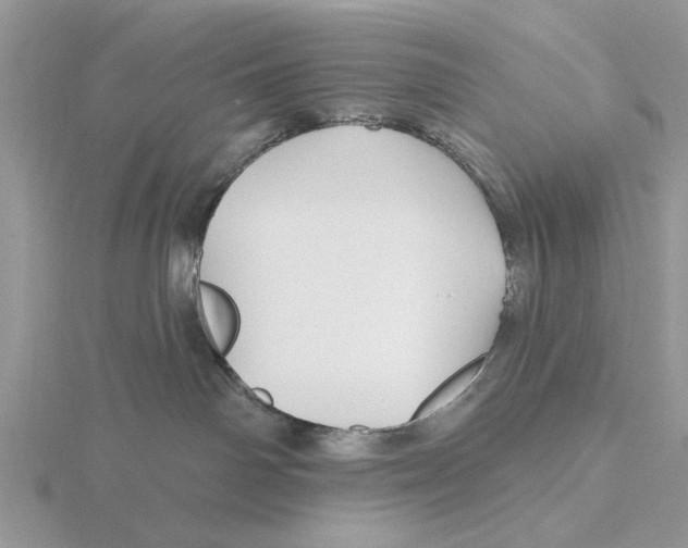 X0000115690142200912101201