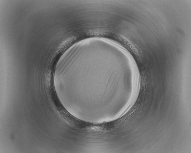 X0000115690163200912101201