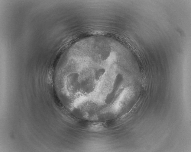 X0000115690175200912101201