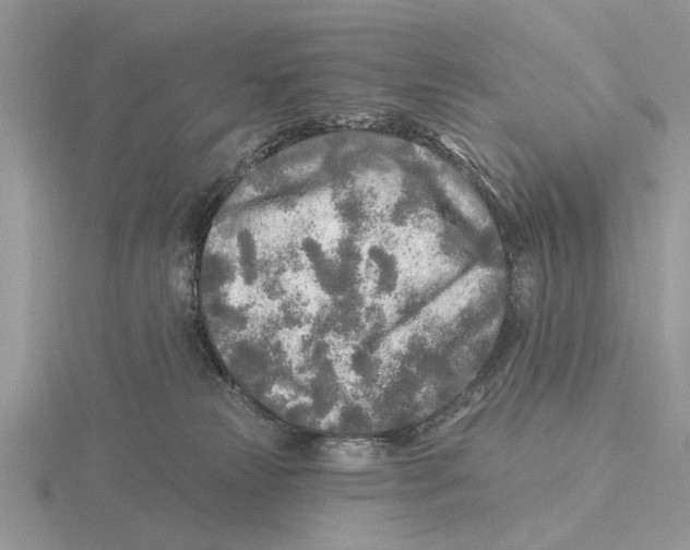 X0000115690181200912101201