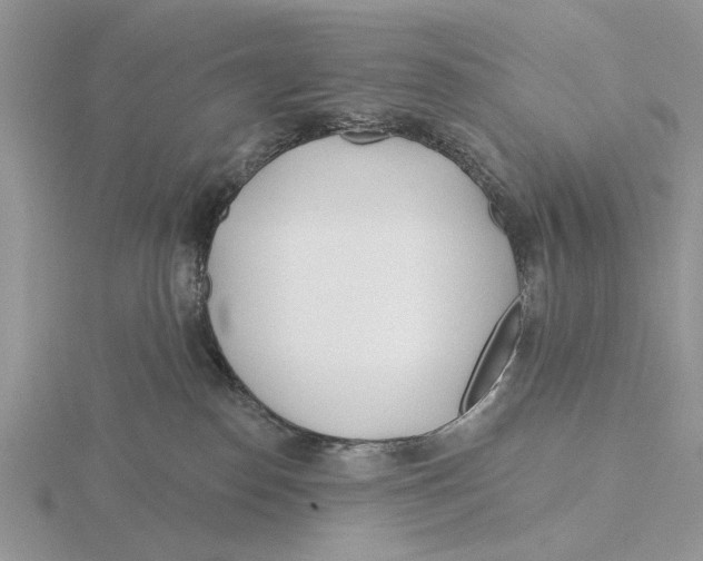 X0000115690186200912101201