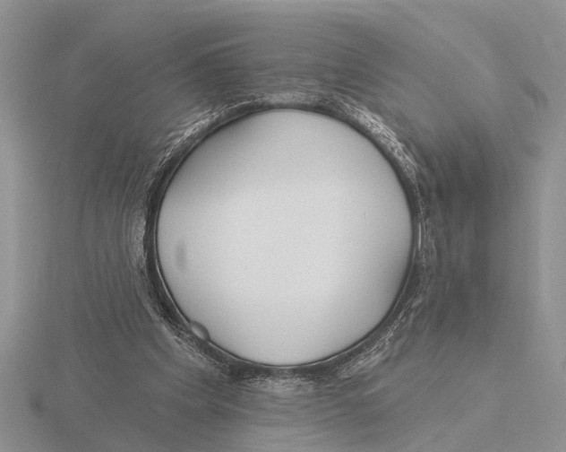 X0000115690201200912101200