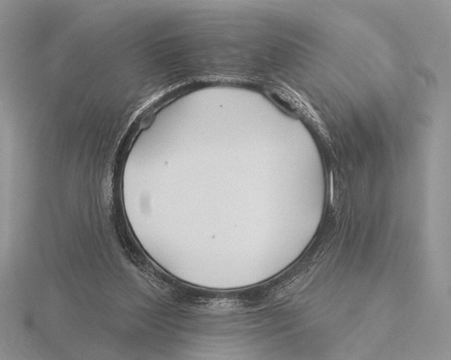 X0000115690204200912101200