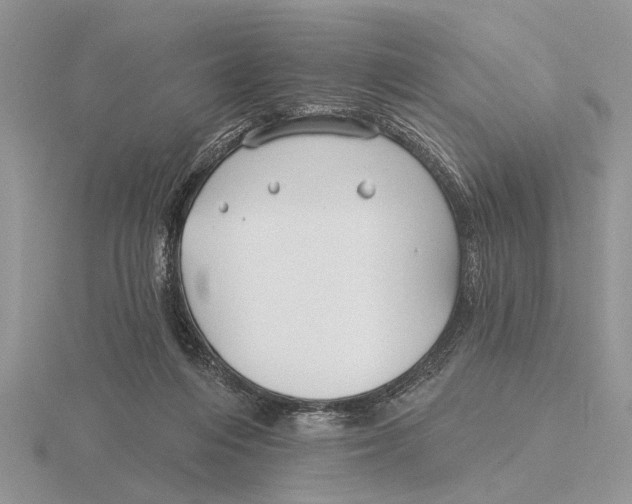 X0000115690216200912101200