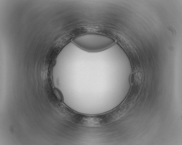X0000115690221200912101200