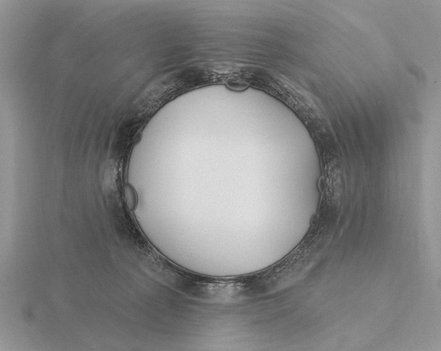 X0000115690225200912101200
