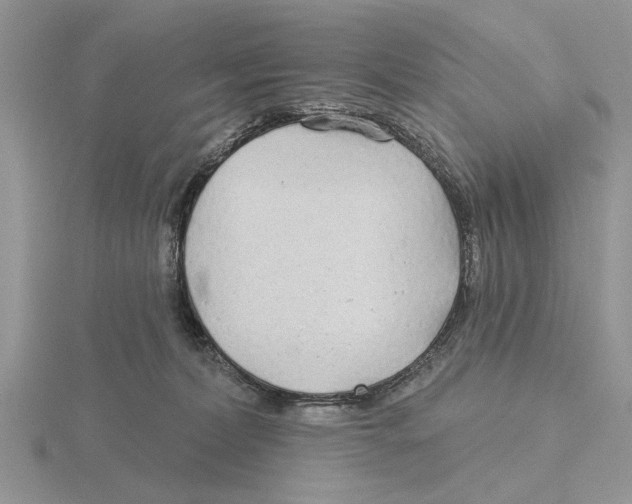 X0000115690228200912101200