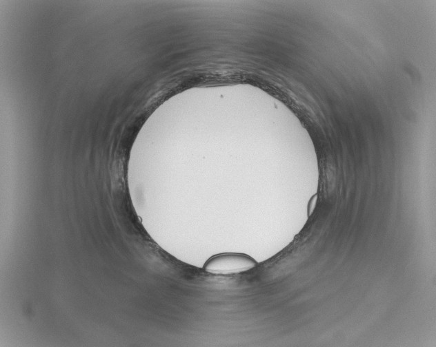X0000115690236200912101200