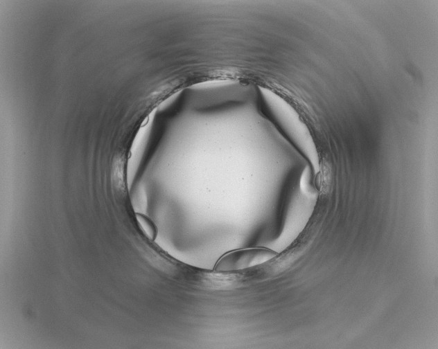 X0000115690238200912101200
