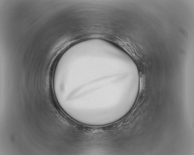 X0000115690243200912101159