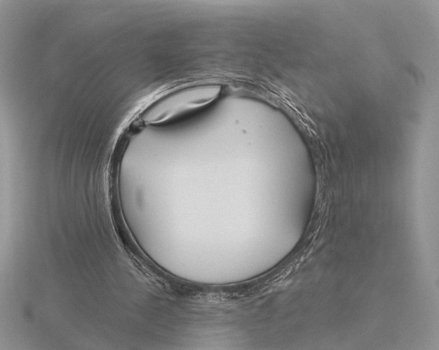 X0000115690244200912101159