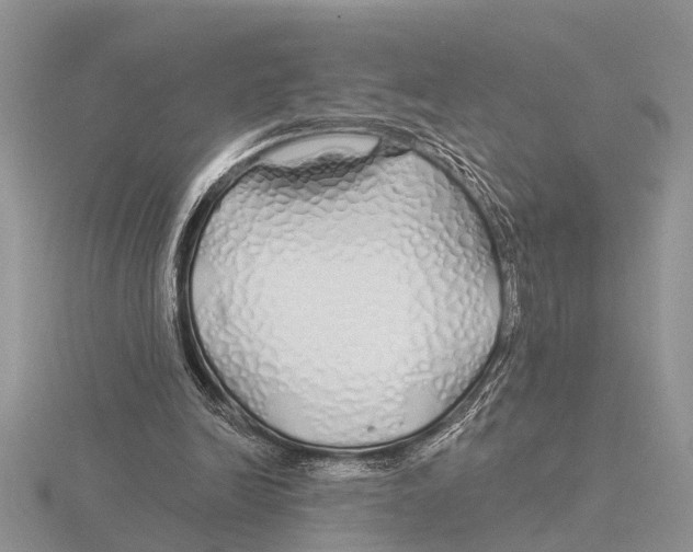 X0000115690246200912101159